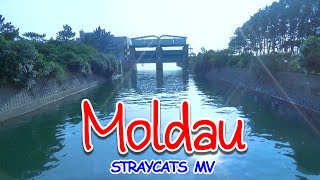 MV Moldau [upl. by Irrol]