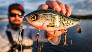 THE BEST MUSKY FISHING IVE EVER EXPERIENCED  Iowa Muskies on a Feeding Frenzy [upl. by Camilia]