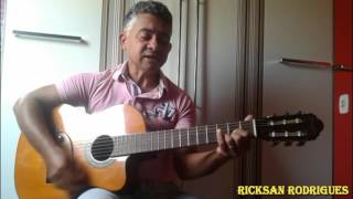 SERESTEIRO DAS NOITE Cover Amado Batista [upl. by Pickens]