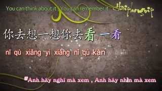 Ánh trăng nói hộ lòng em  月亮代表我的心 VietSubkara Pinyin [upl. by Cargian]