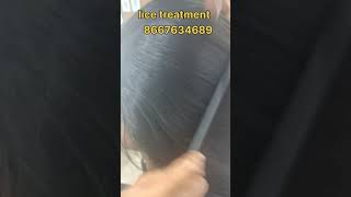 Lice treatment Available nits haircare nitsremoval headlice hair peenu eeru [upl. by Leatrice]