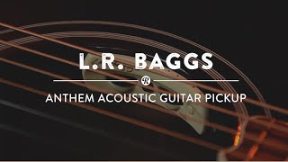 LR Baggs Anthem Acoustic Guitar Pickup  Reverb Demo Video [upl. by Eelsel]