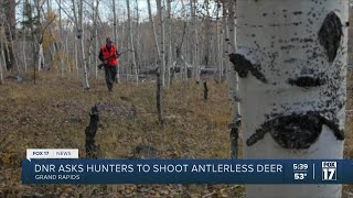 Michigan DNR Try shooting a doe this deer season [upl. by Orazio209]