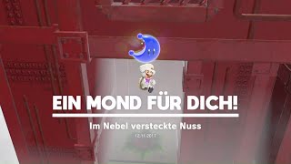 Super Mario Odyssey  Forstland  Mond Nr 41  42  Spaziergang im Nebel  Im Nebel versteckte Nuss [upl. by Ecerahs]