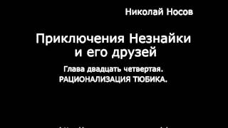 Глава двадцать четвертая РАЦИОНАЛИЗАЦИЯ ТЮБИКА [upl. by Vola]