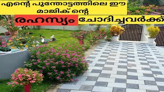 ഇല കാണാതെ പൂക്കൾ ഉണ്ടാകുംവളപ്രയോഗം floweting tips malayalamgardening tips malayalam garden ideas [upl. by Ahc659]