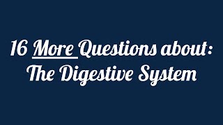 Digestive System Identification Quiz  Part 2 [upl. by Eirod]