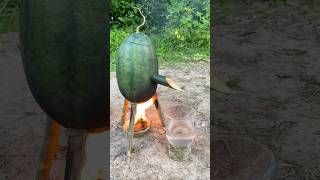 Survival Skills SIMPLE and USEFUL with steam bad water in watermelon bushcraft camping outdoors [upl. by Ahsurej]