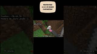 Minecraft  apparition mouton rose [upl. by Ateval]