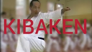 Kibaken kata by Asai Tetsuhiko [upl. by Balcer]