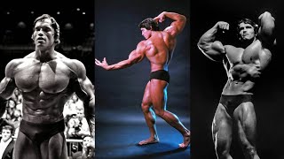 Arnold Schwarzenegger Motivation Real [upl. by Connolly]