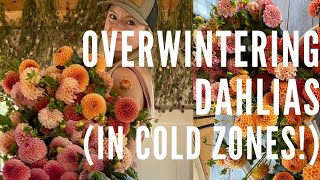 Overwintering dahlias in cold zones [upl. by Arbma]