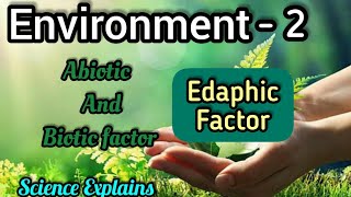 What Is Edaphic Factor   ENVIRONMENT  PART  2  BSc 5th Sem [upl. by Dawna]