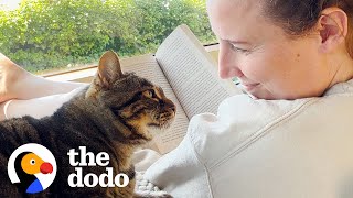 Senior Cat Turned Into A Literal Infant When She Got Adopted  The Dodo [upl. by Diandre]