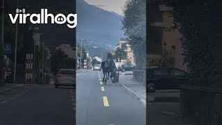 Cyclist Carries Shelves on Bike  ViralHog [upl. by Elag969]