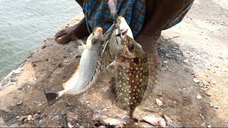 Never Seen Before this Kind of FISHING  Ora fish  Handline Fishing [upl. by Darin]