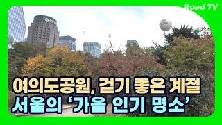 여의도공원 걷기 좋은 계절…서울의 ‘가을 인기 명소’ I Yeouido Park I 4K [upl. by Otiragram]