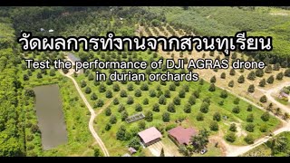 Case Study  DJI Agras  Durian Orchards in Thailand [upl. by Aleron59]