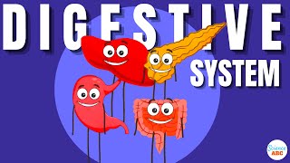 Digestive System Ingestion to Egestion Explained in Simple Words [upl. by Oiliduab]