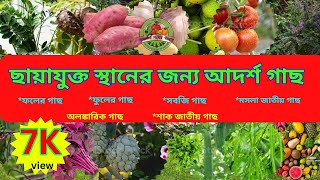 ছায়াযুক্ত স্থানে কি কি চাষ করা যায়  Shade Loving Vegetable Cultivation idea কৃষকের শখের খামার [upl. by Hepsiba29]