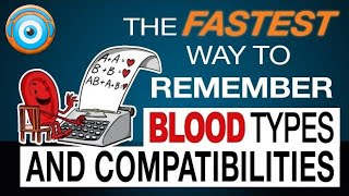 Blood Types and Transfusion Compatibilities Step 1 NCLEX® MCAT Review [upl. by Fey]