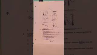 Week 7  Suture Packet [upl. by Suirtemed]