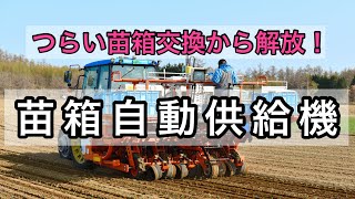 ビート移植機用自動苗箱供給機 ただいま開発中 [upl. by Richmond709]