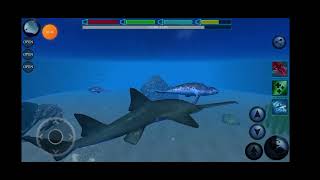 Ultimate Shark Simulator Sawshark [upl. by Eanar]