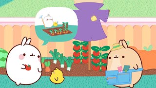 Molang amp Piu Piu  The Vegetable Garden  Season 02 Episode 30  Funny Animal Cartoon For Kids [upl. by Amjan308]