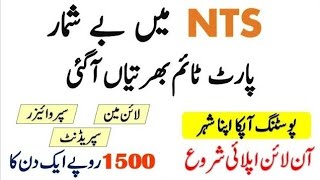 NTS Jobs 2024  National Testing Service Jobs 2024  Download Application Form [upl. by Oht]