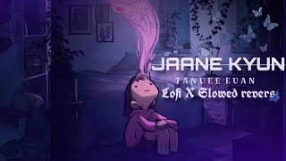 Jaane Kyun  Tanveer Evan  Lofi Version  Slowed Revers  Soul Strings [upl. by Einnaoj360]