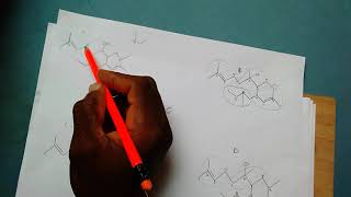 How to identify a Terpene and its isoprene units [upl. by Hesta808]