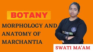 lec 10Morphology And Anatomy Of Marchantia  BSc Botany 2nd Semester  Swati Maam [upl. by Anasor]