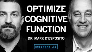 Dr Mark DEsposito How to Optimize Cognitive Function amp Brain Health [upl. by Barcus]