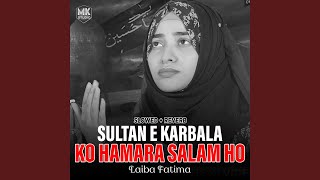 Sultan e Karbala Ko Hamara Salam Ho LofiMix [upl. by Salinas]