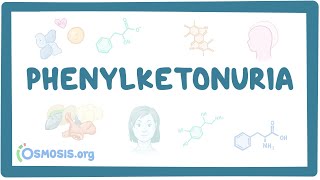 Phenylketonuria  causes symptoms diagnosis treatment pathology [upl. by Spanjian]