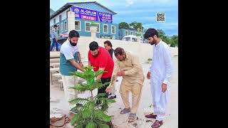 Tree Plantation projects [upl. by Imoin]