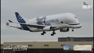 Airbus Beluga XL lands at Heathrow Airport for the very first time [upl. by Ettenad305]