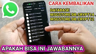 apakah bisa mengembalikan database msgstoredbcrypt14  msgstoredbcrypt12 [upl. by Allecsirp641]