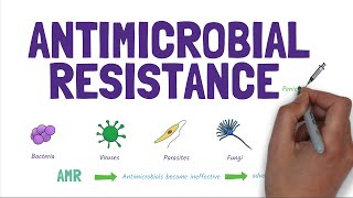 Antimicrobial Resistance AMR Stopping the rise of superbugs [upl. by Arikahs]