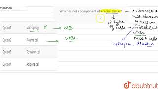 Which is not a component of areolar tissue [upl. by Terrena]