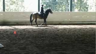 Horse bolts throws kid [upl. by Violeta]