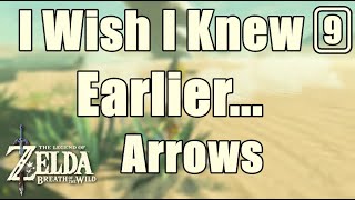 I Wish I Knew Earlier Zelda Breath of The Wild 9 Where to get Arrows botw [upl. by Tennos991]