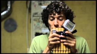 Nostic  Beatbox pan flute Harmonica [upl. by Swor77]