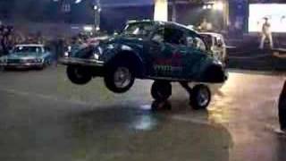 Crazy Lowrider Beetle [upl. by Gibbon]