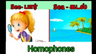 English Homophones Homographs amp Homonyms  Definitions amp Examples [upl. by Riggins]