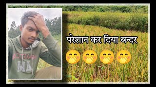 Albinus vlogs परेशान कर दिया बन्दर ने 🤭🤭🤭🤭🤭🤭 [upl. by Mrots]