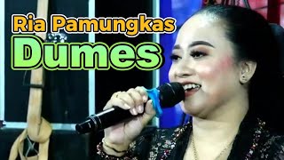 Dumes Ria Pamungkas Javanese Gamelan Music Campursari [upl. by Dnomra]