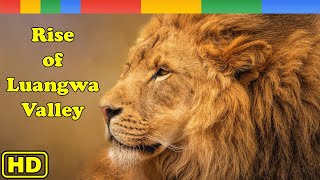 Lion Documentary  Rise of Luangwa Lion Pride Africa 2023 [upl. by Avi966]