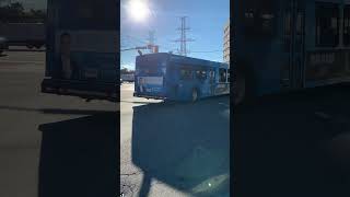 shorts YRT 585 on route 301 Markham Express to Mount Joy GO Station [upl. by Emmalynn]